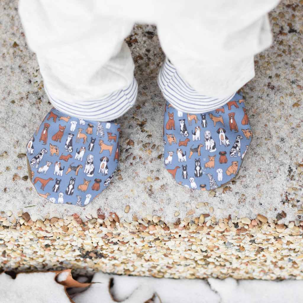 Doggie Shoes
